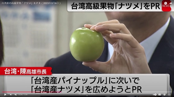 送高雄市長推薦日本人喜歡的新年蜜棗禮盒到日本